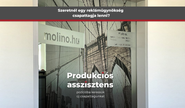 Új csapattagot keresünk!