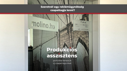 Új csapattagot keresünk!