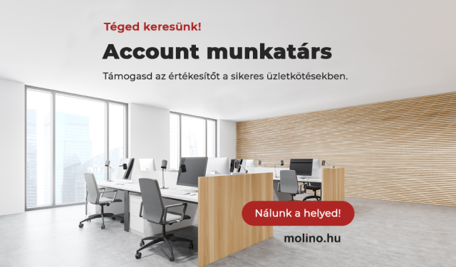 Téged keresünk! Account munkatárs
