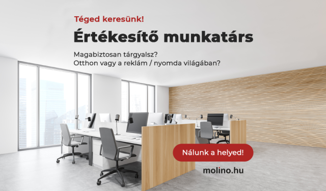 Értékesítő új kollégánkat keressük