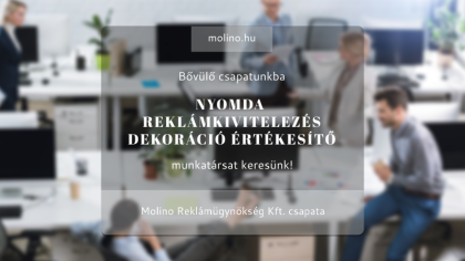 Értékesítő munkatársat keresünk