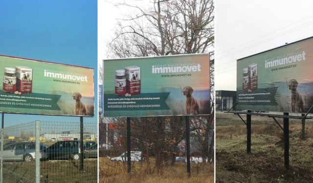 Immunovet óriásplakát kampány